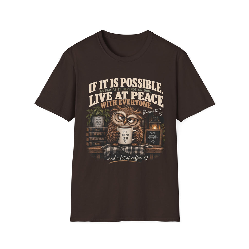 Live at Peace Owl T-Shirt — 'If It Is Possible, Live at Peace with Everyone' Christian Tee